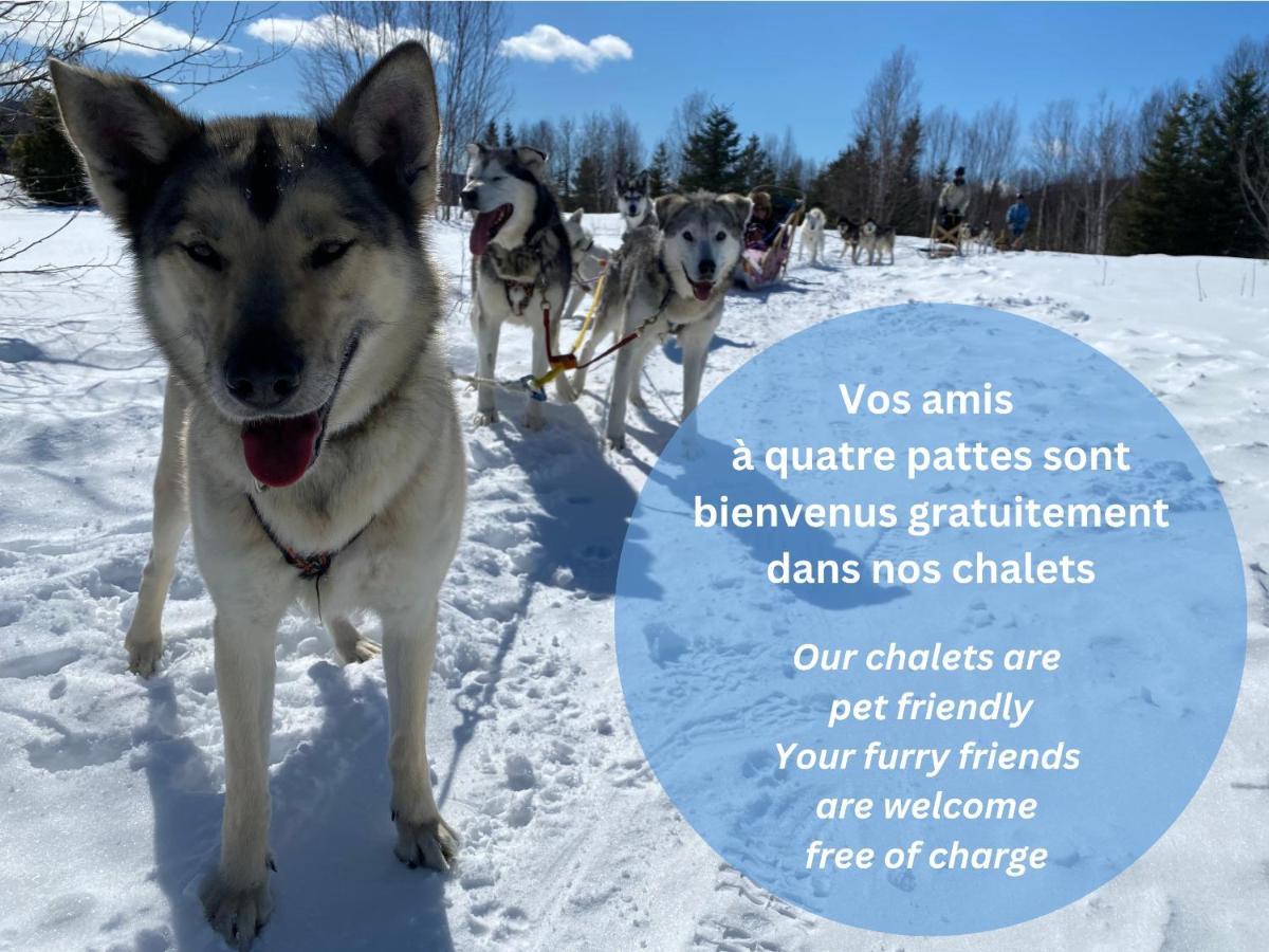 Woody - Chalets De Moh La Malbaie Kültér fotó